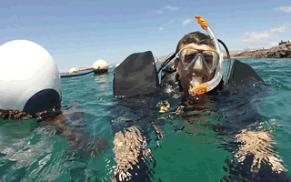 Padi Rescue Diver Course, learn to rescue your buddy 